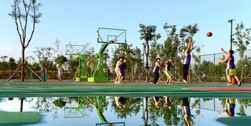 關(guān)于云中河景區(qū)西北運(yùn)動場提升改造的公告