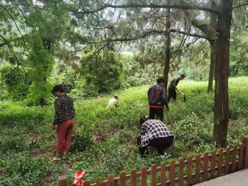 濟(jì)南市靈巖寺景區(qū)加強(qiáng)環(huán)境整治,提升景區(qū)旅游品質(zhì)