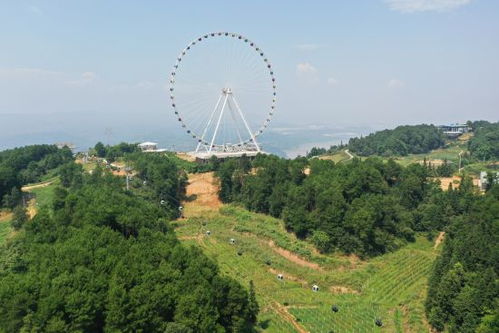 美心紅酒小鎮(zhèn)入選全國(guó) 萬企興萬村 行動(dòng)優(yōu)秀案例庫第一批擬入庫案例名單