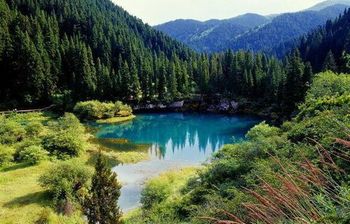 黃龍管理局牟尼溝景區(qū)正式實(shí)施網(wǎng)上實(shí)名制購票