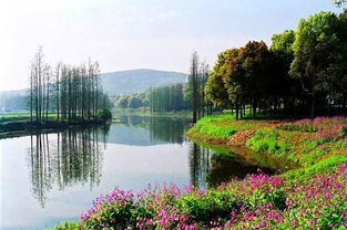 國慶個別景區門票明降暗升 進景區后每項都單收費