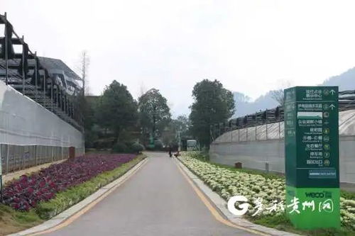 貴州多個景區陸續開園，游覽時園區管理服務與注意事項詳解