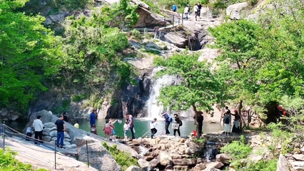 連云港市云臺山風(fēng)景名勝區(qū) 專業(yè)園區(qū)管理服務(wù)的實踐與展望